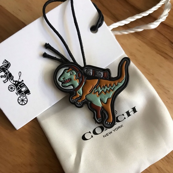 Coach Rexy NASA Pin - Picture 2 of 4